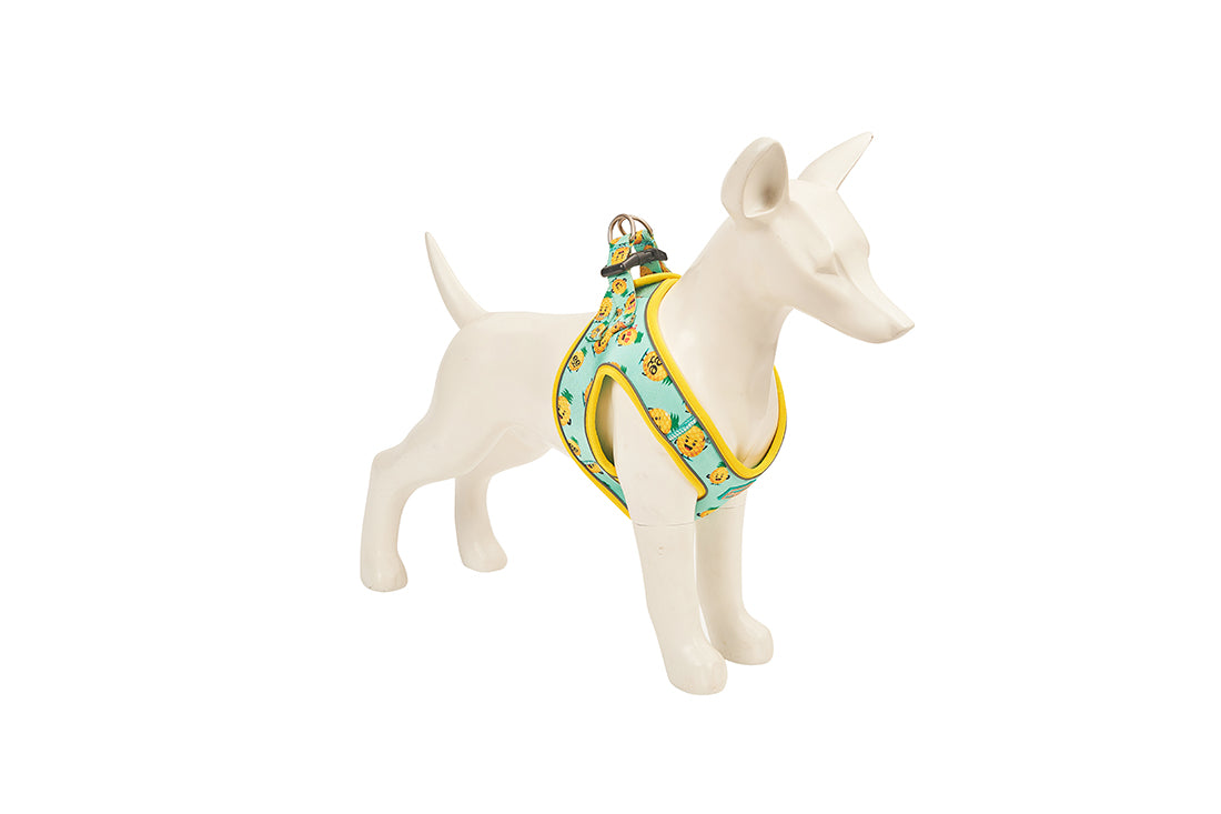Pineapple Breeze Designer Harness for Dogs