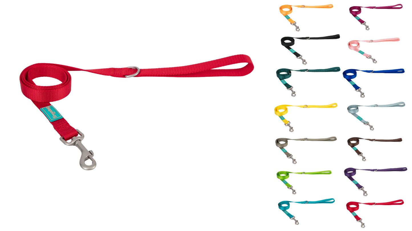 SALE: Basic Nylon Leash for Dogs - 10mm x 120cm
