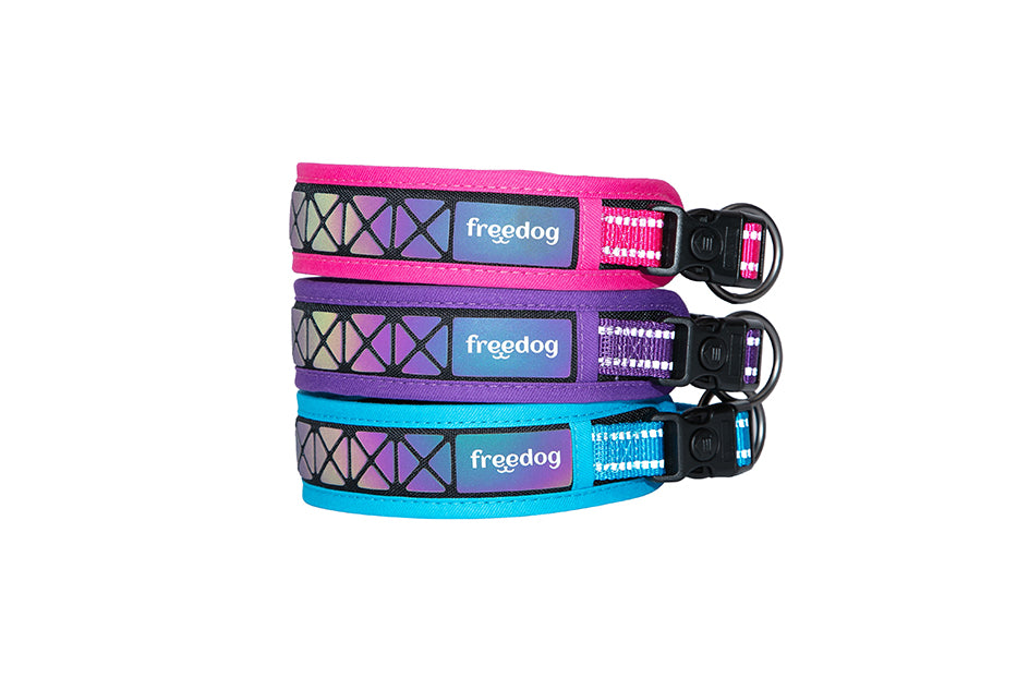 Boreal Reflective Collar for Dogs - Small