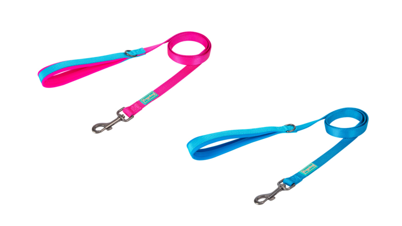 Cool Pro Leash for Dogs - Medium