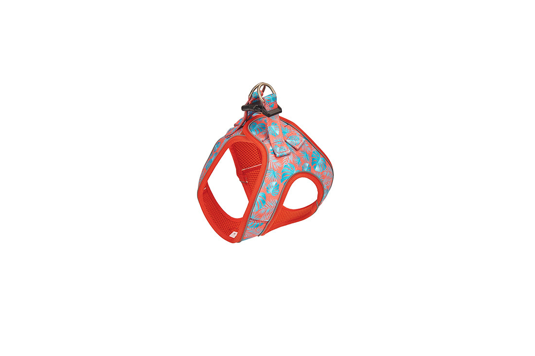 Tropical Coral Designer Harness for Dogs