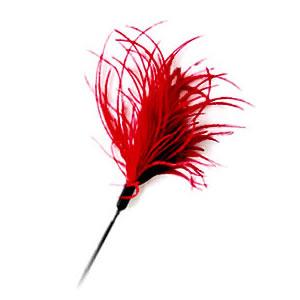 SALE: Interactive Cat Teaser Wand Toy - Feather Red - Small (4714785635543)