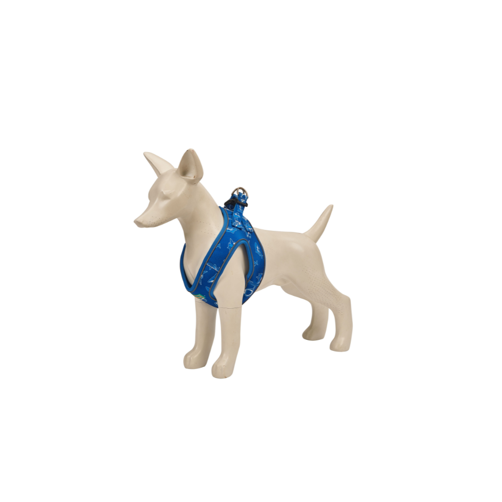 Blue Shark Designer Harness for Dogs