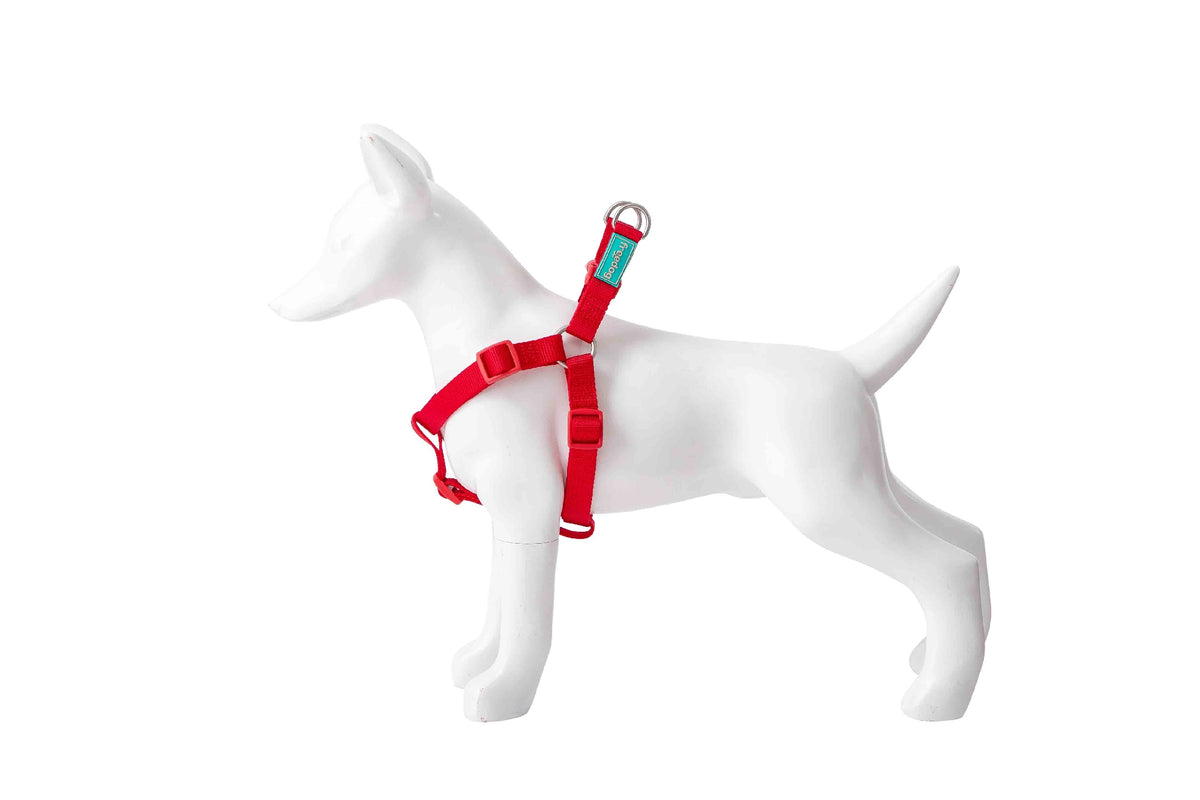 Basic Nylon A-Type Harness for Dogs - Large