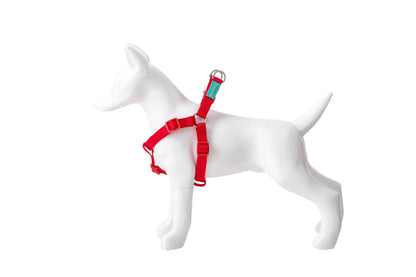 Basic Nylon A-Type Harness for Dogs - Large