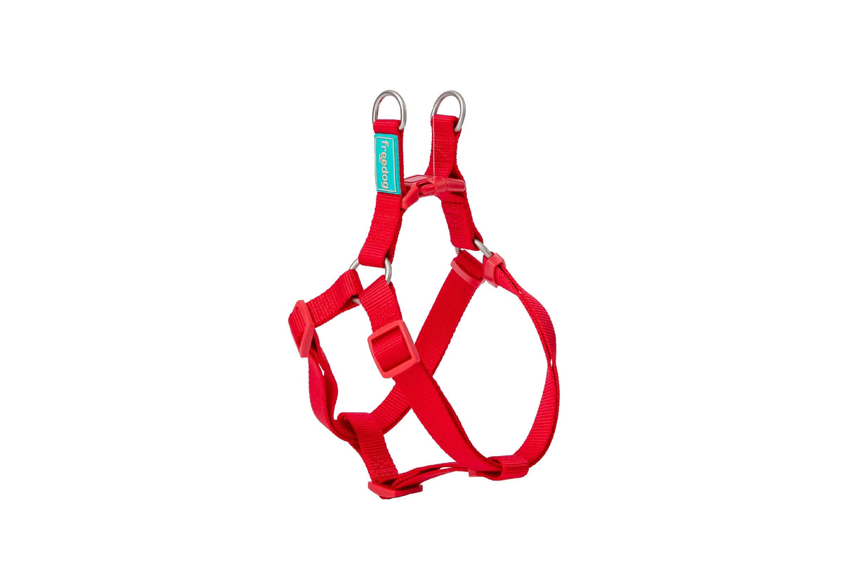 Basic Nylon A-Type Harness for Dogs - Large