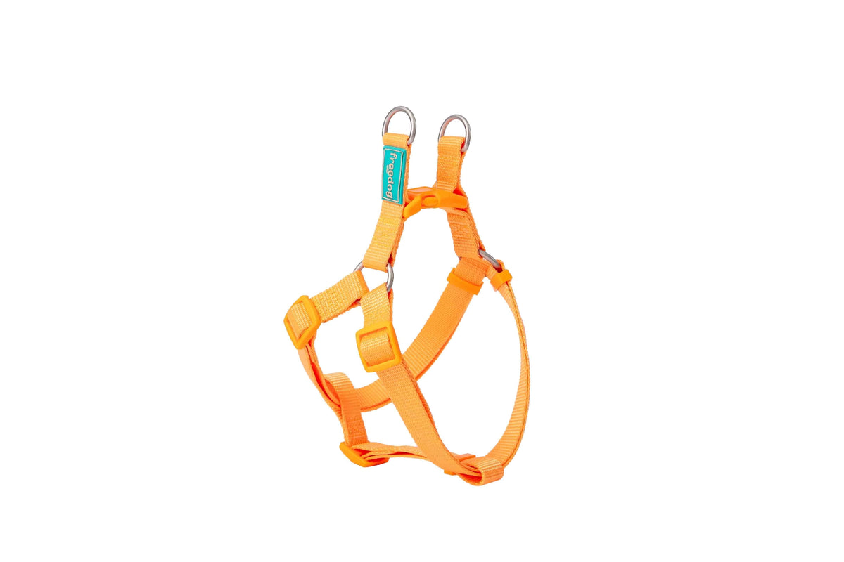 Basic Nylon A-Type Harness for Dogs - Large
