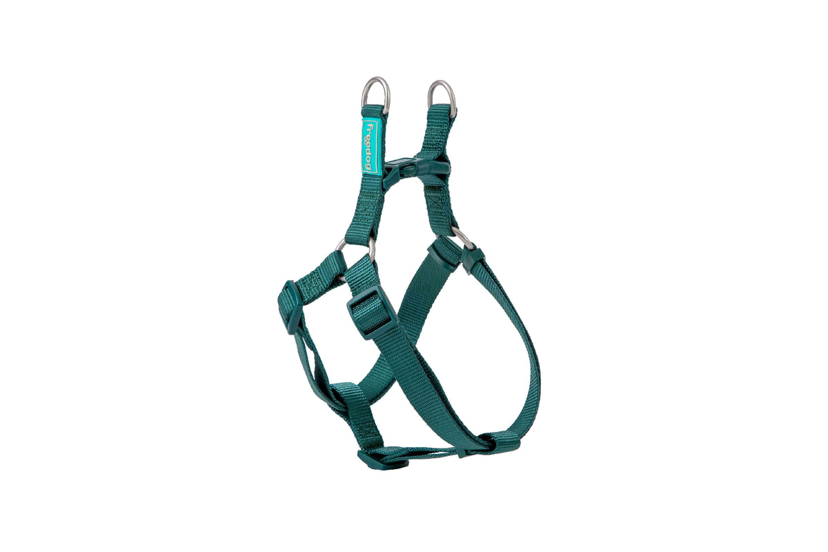 Basic Nylon A-Type Harness for Dogs - Large