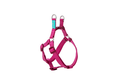 Basic Nylon A-Type Harness for Dogs - Large