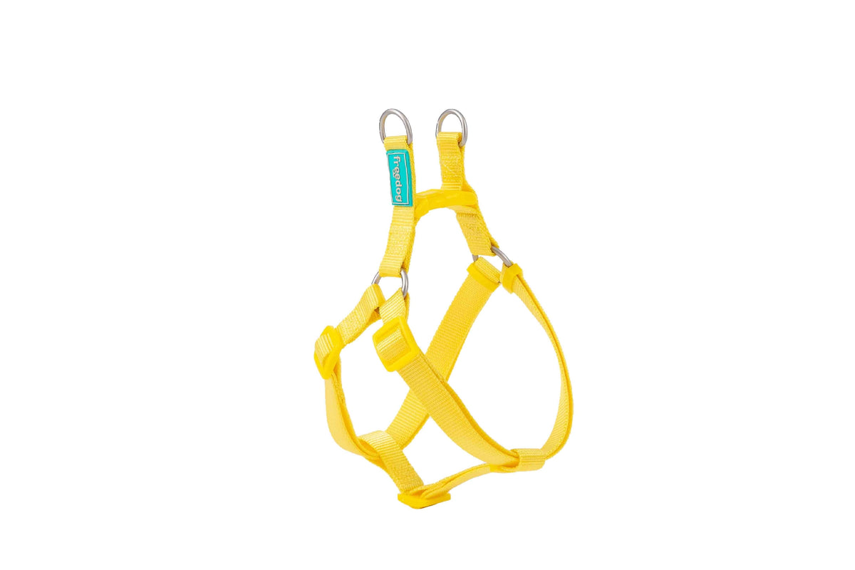 Basic Nylon A-Type Harness for Dogs - Large