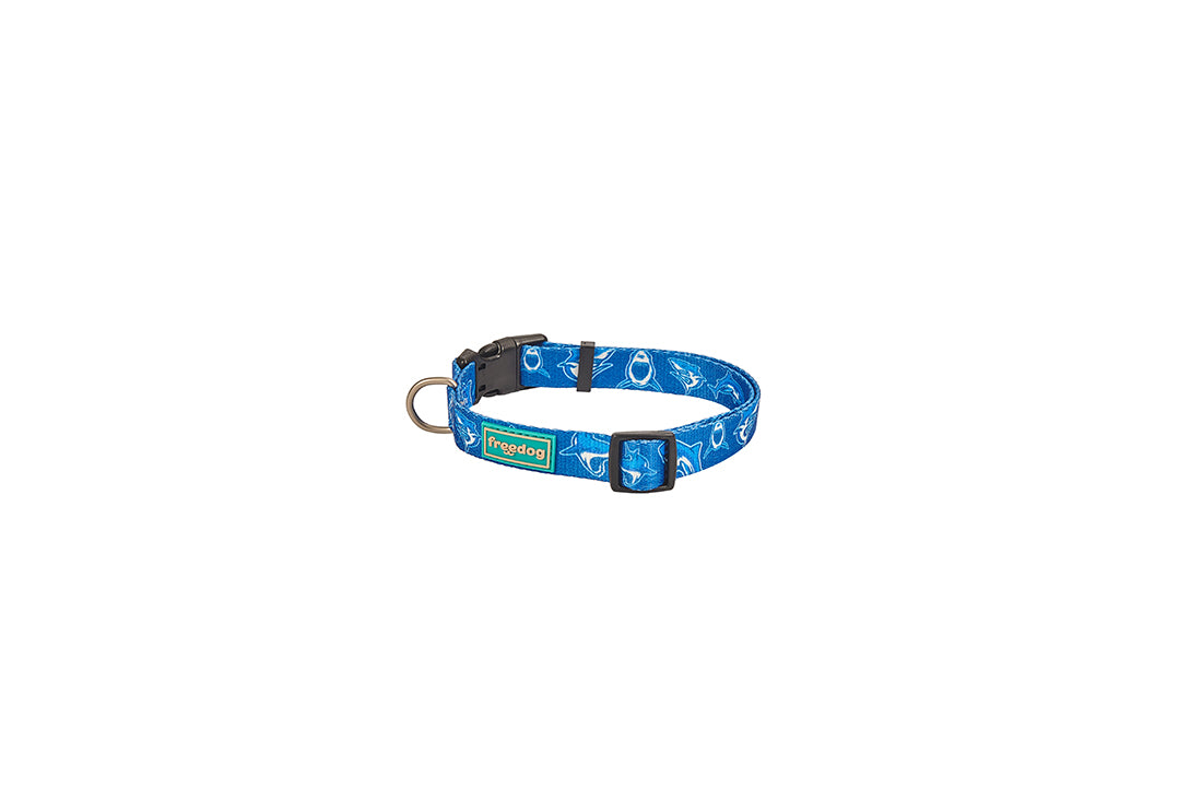 SALE: Blue Shark Designer Collar for Dogs
