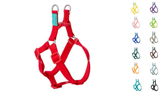 Basic Nylon A-Type Harness for Dogs - Extra Large