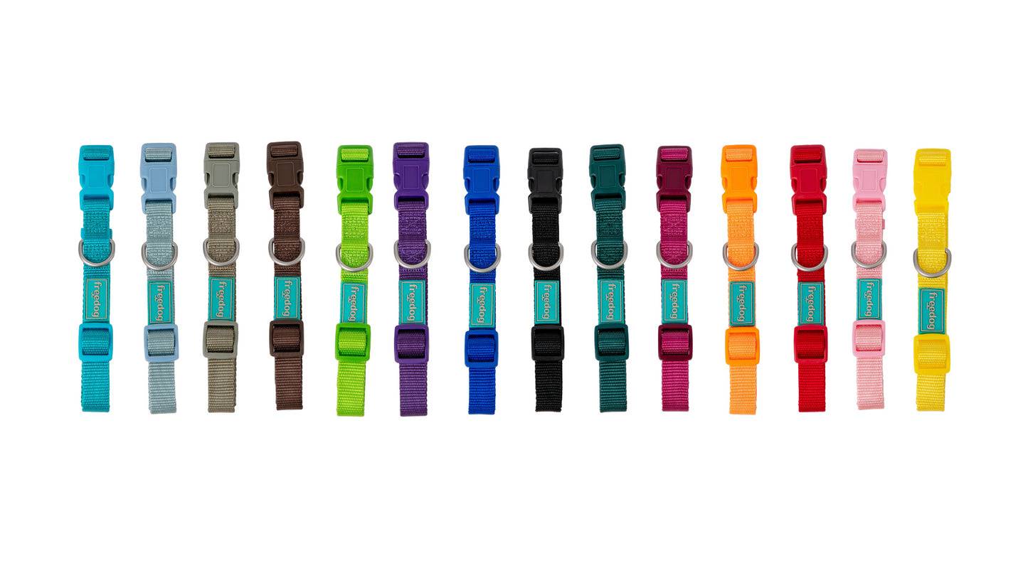 Basic Nylon Collar for Dogs - Extra Small