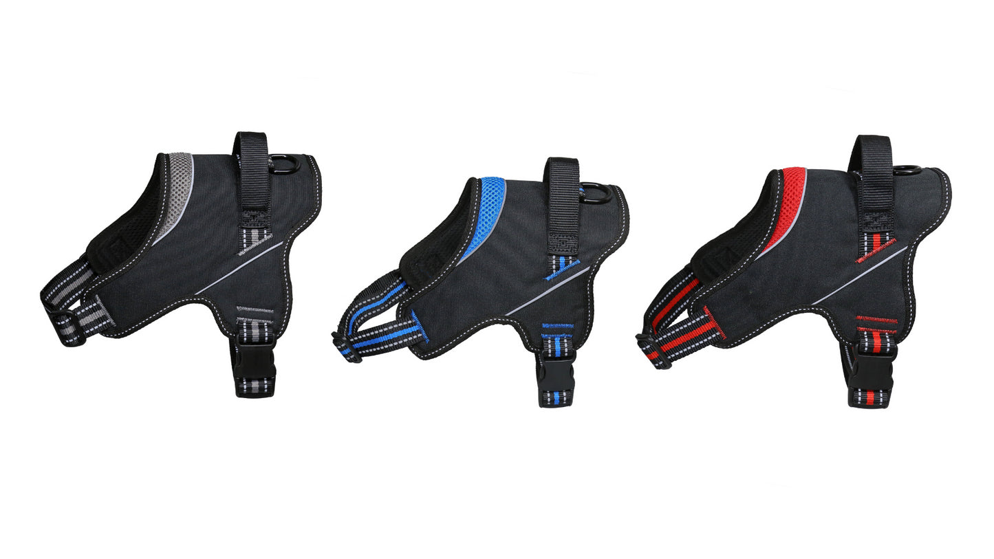 Strong and Durable Harness for Dogs - XL