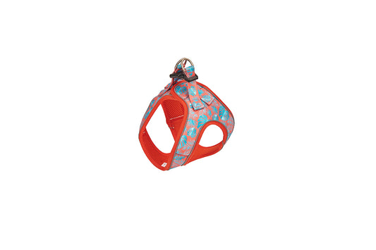 Tropical Coral Designer Harness for Dogs