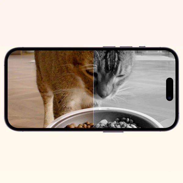 Petkit 'YumShare Solo Camera' Automatic Feeder - 3L (6975069302768)