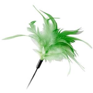 SALE: Interactive Cat Teaser Wand Toy - Feather Green - Small (4714785635550)