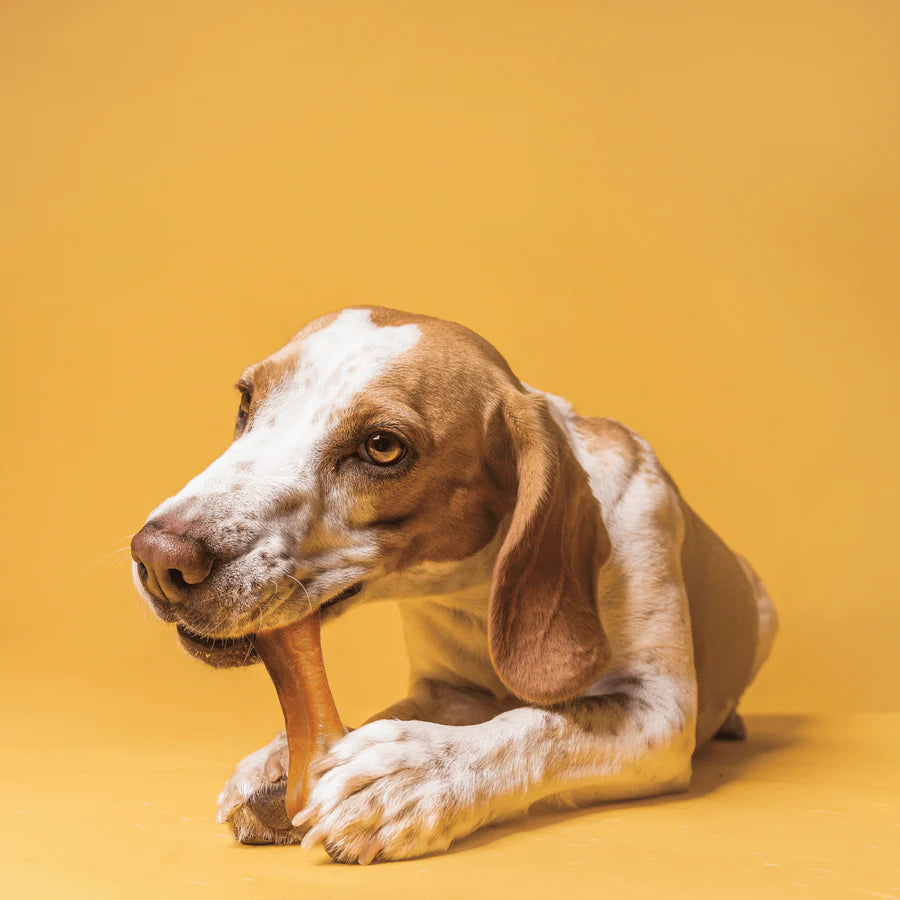 PLUTOS Dog Chew - Chicken - Large - BOX
