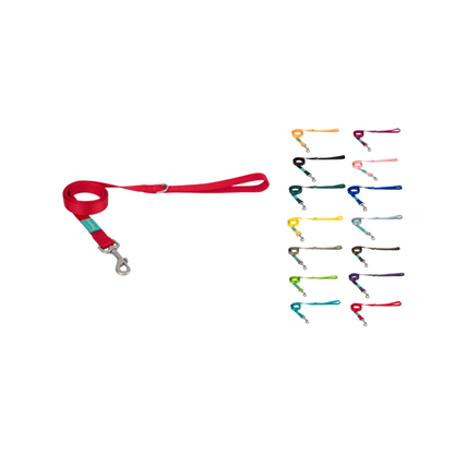 SALE: Basic Nylon Leash for Dogs - 25mm x 120cm