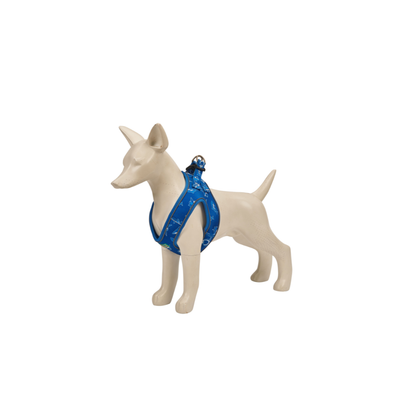 Blue Shark Designer Harness for Dogs