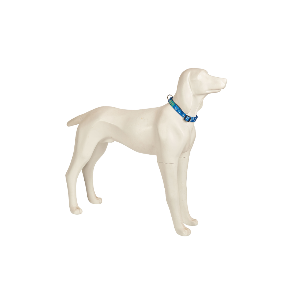 SALE: Blue Shark Designer Collar for Dogs