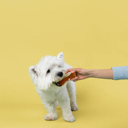SALE/Buy 1 Get 1 FREE: PLUTOS Soft Dog Chew – for Puppies - Apple + Krill - BOX