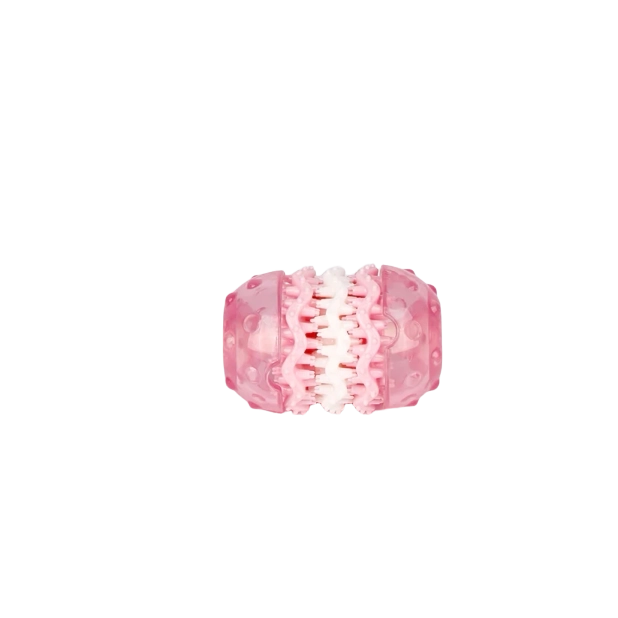 SALE: Dental Toy with 3 Layers - Pink