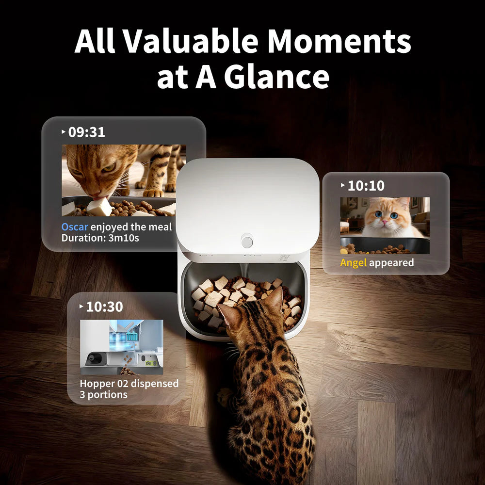 PETKIT 'YumShare Gemini 2.0' AI-powered Camera Automatic Feeder with Dual Hopper - 3L + 2L (5L) (6975069307596)